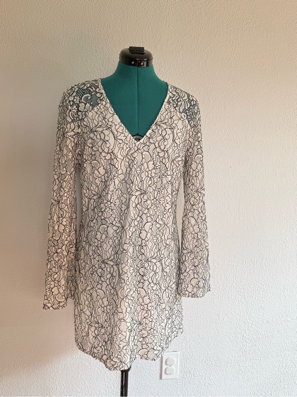 Wayf Black Lace Overlay Mini Dress on Cream